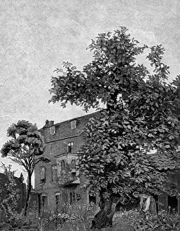 Chiswick: HOGARTH/HOME/CHISWICK