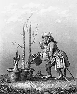 Connoisseur: HOGARTH TAILPIECE