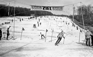 Wiese: Hohe Wand Wiese