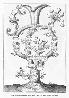 Elector: HOHENZOLLERN FAM TREE