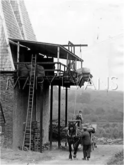 Calming: HOISTING HOPS