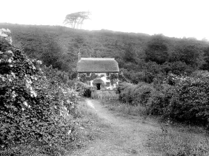 Holford: Holford, Cottage in Combe 1929