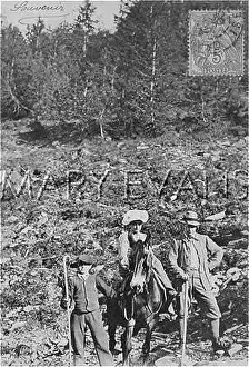 Excursionists: HOLIDAYMAKERS
