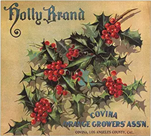 Mottled: Holly and Berries