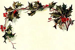 Arching: Holly Border