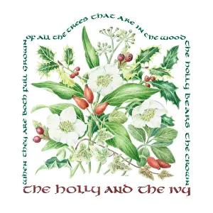 The Holly and The Ivy