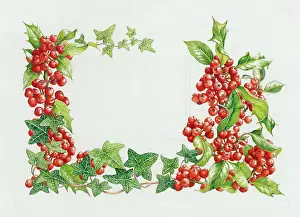 Bordewich: Holly and Ivy border
