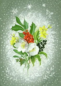 Jessamine: Holly, Jessamine, etc