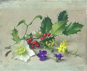 Jessamine: Holly, mistletoe, Christmas roses etc