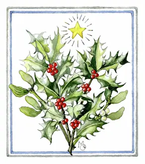Gillies: Holly and Mistletoe with star above