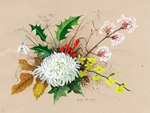 Snowdrop: Holly, snowdrop, chrysanthenum etc