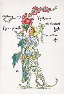 Hollyhocks: Hollyhock