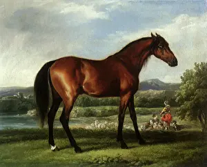 1766: Hollyhock, by Stubbs