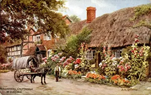 Hollyhocks: Hollyhocks outside a cottage, Cropthorne, Worcestershire