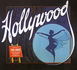 Spotlight: Hollywood Brand