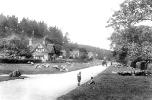 Holmbury: Holmbury St Mary, Post Office Corner 1906