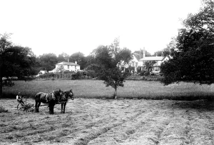 Holmwood: Holmwood, Park 1909