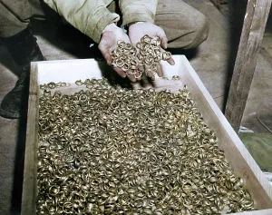 Extracted: Holocaust Horrors