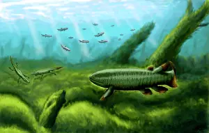 Lobe: Holoptychius, Tulerpeton and Moythomasia, prehistoric fish ?