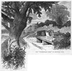 Wilberforce: Holwood Park, Kent