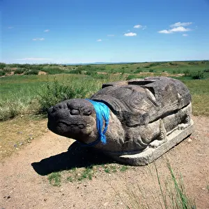 Tortoises: Holy stone turtle, Karakorum, Mongolia