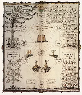 Intermediate: Holy Tree Manuscript