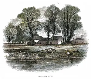 Meikle: HOME OF ANDREW MEIKLE