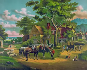 C1889: Home in the country
