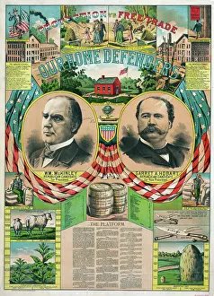 Protectionist: Our home defenders