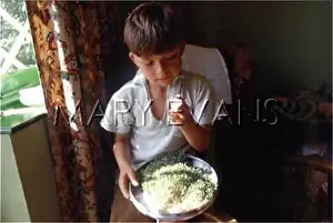 Cress: HOME GROWN PRODUCE 1940S