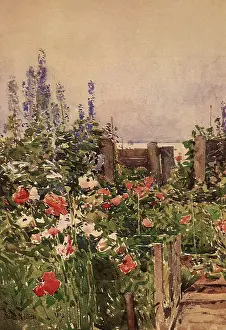 Childe: Home of the Hummingbird