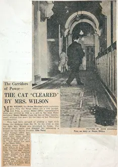 Peta: Home office cat story