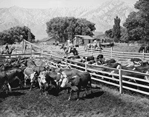 Corral: HOME ON THE RANGE