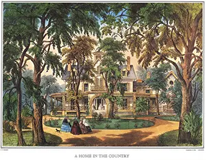 Nestled: Home Amongst the Trees