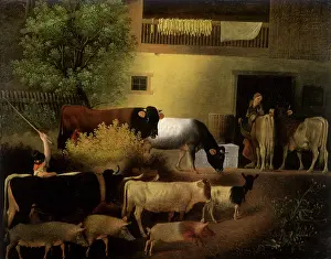 Neder: The Homecoming of the Herd
