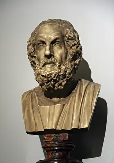 Canon: Homer. Bust