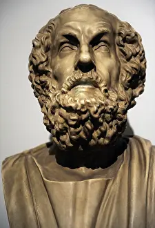 Canon: Homer. Bust