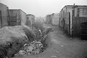 Ditches: Homes alongside a watery ditch, SOWETO