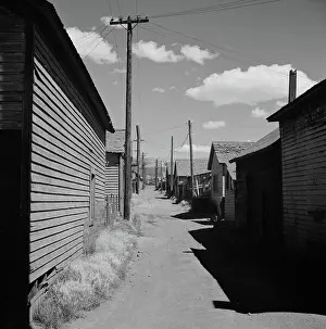 Wolcott: Homes - Cabins - Shacks - Architecture