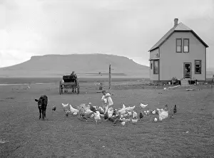 Reclamation: Homestead, 1910