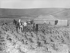 Lcgr1803: Homestead couple has planted corn right up