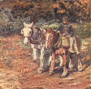 Fidler: Homeward