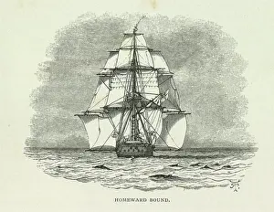 Homeward: Homeward Bound