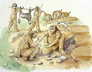 Hominids: Hominids and Hyenas