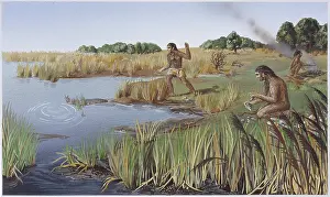 Epoch: Homo erectus, Acheulian man