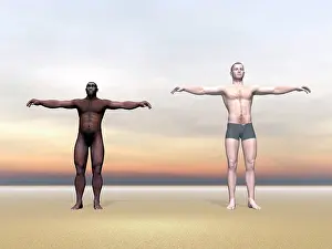 Extended: Homo Erectus man next to modern human being
