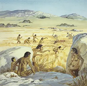 Habilis: Homo habilis in action