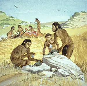 Habilis: Homo habilis in action