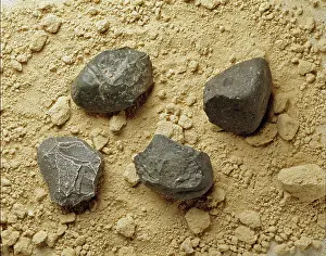 Olduvai: Homo habilis tools