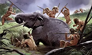 Elephantoidea: Homo heidelbergensis in action